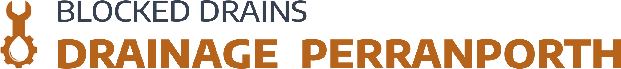 website logo